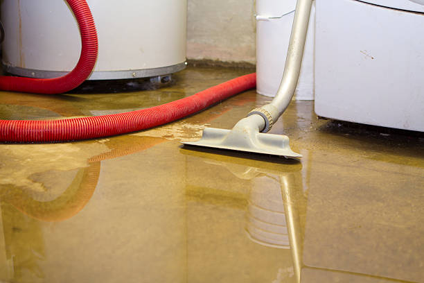 Best Ceiling water damage repair  in Kadelphia, AR