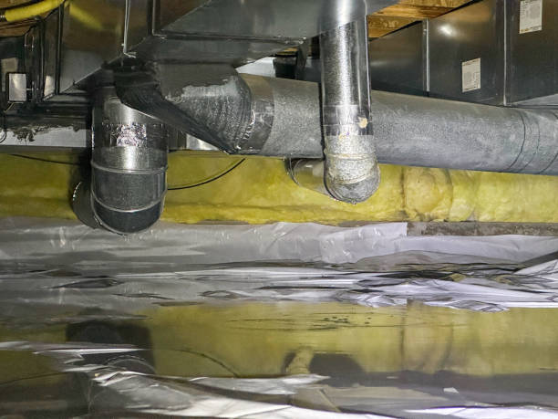 Best Professional water damage repair  in Kadelphia, AR